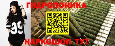бошки Гусь-Хрустальный